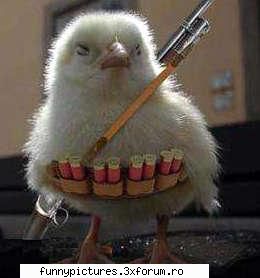 Animalute - Razunarea e dulce - Funny Pictures