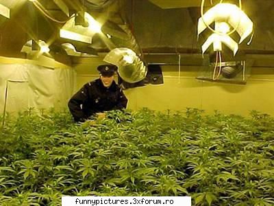 Oameni penibili... - Afacere profitabila - Funny Pictures